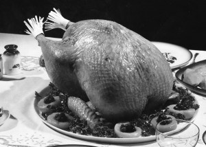 roast turkey