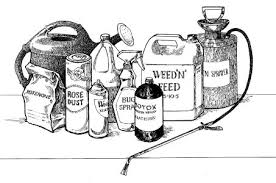 Cover photo for 2019 Pesticide Collection Day!