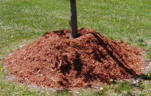 Cover photo for Mulch Matters
