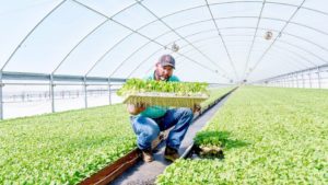 Cover photo for New Program Addresses the Business of Farming