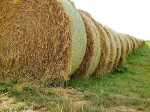 hay bales