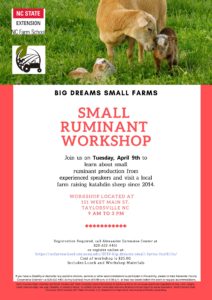 Ruminant Flyer