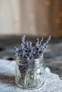 Lavendar