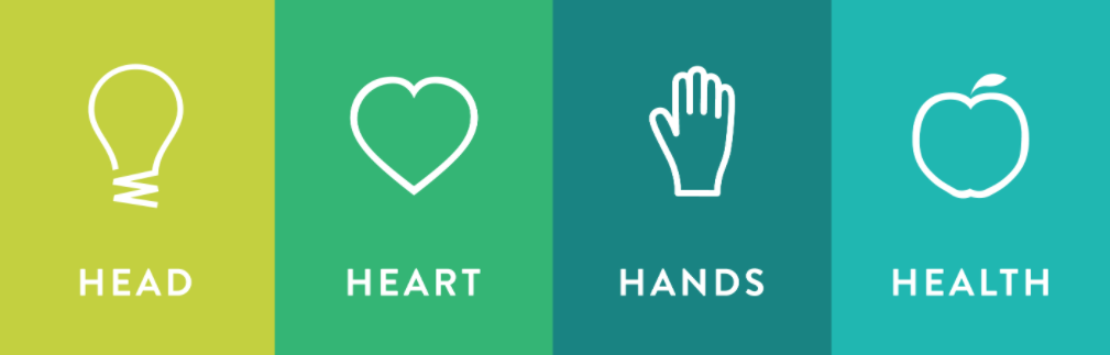 Head, Heart Hands and Health graphic