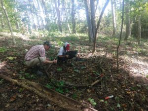 two people crouching in the woods looking a forest plants