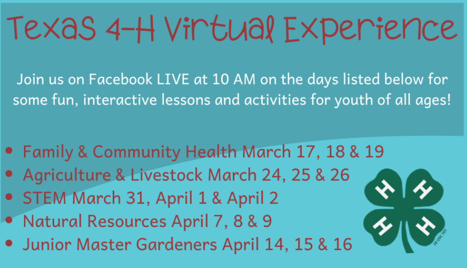 Texas 4-H virtual experiences graphic