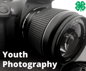 Cover photo for Basic Photography - 4-H Spark Activity for Youth