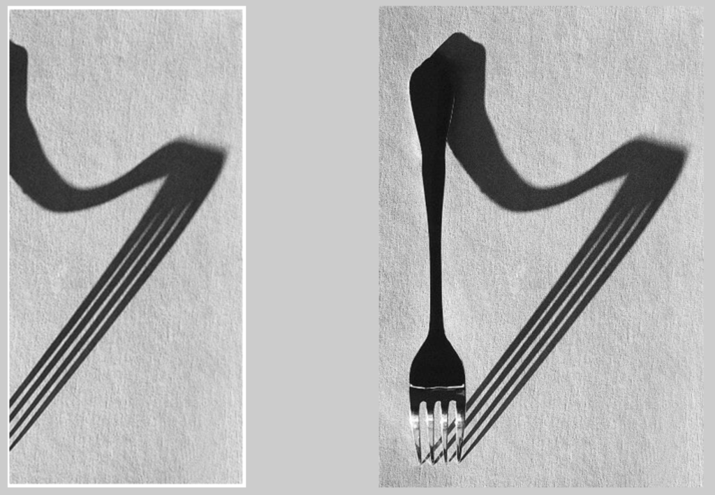 fork shadow photo