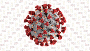 A coronavirus as seen enlarged through a microscope