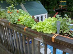 container attached to deck