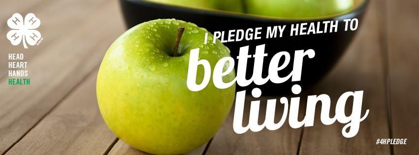 I pledge my health to better living banner