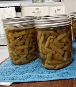 canned green beans