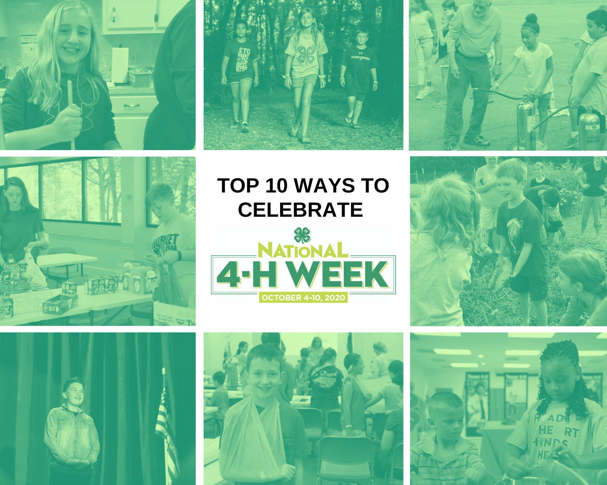 top 10 ways to celebrate National 4-H Week