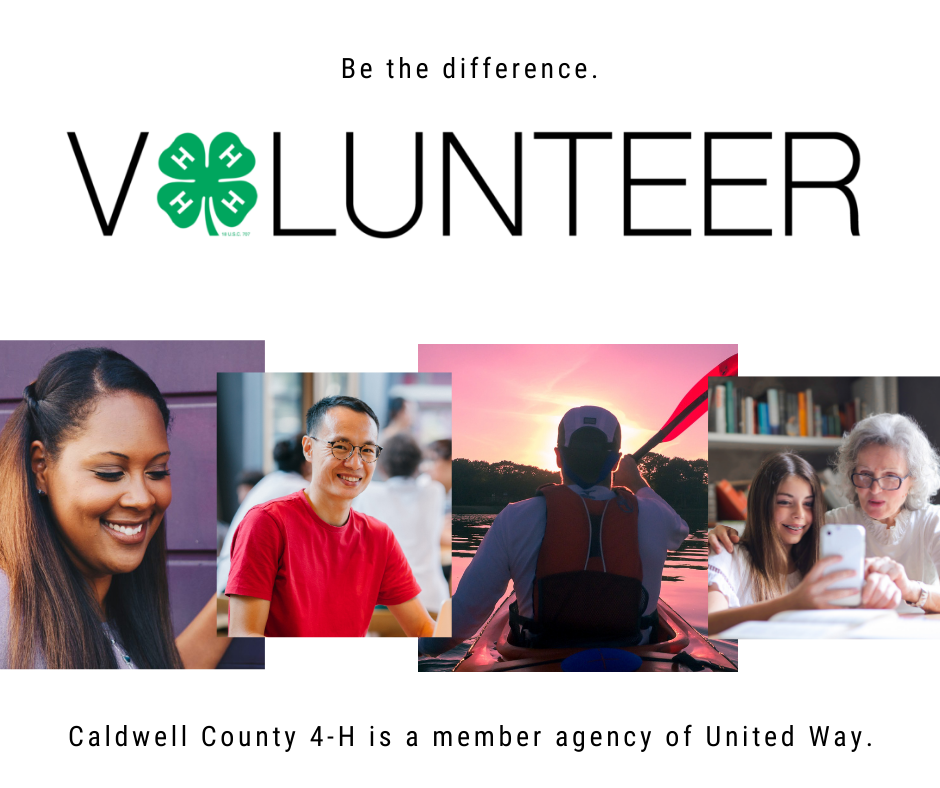Be the Difference. Volunteer.