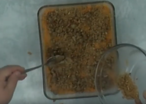 sweet potato casserole