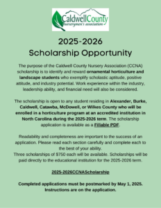 CCNA scholarship flyer with green background and info about the scholarship