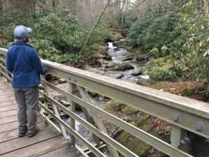 Hiking Blue Ridge Parkway