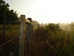 Cover photo for Fence Law: When North Carolina Was the Open Range