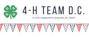 4-H Team D.C. - a civic engagement program for youth