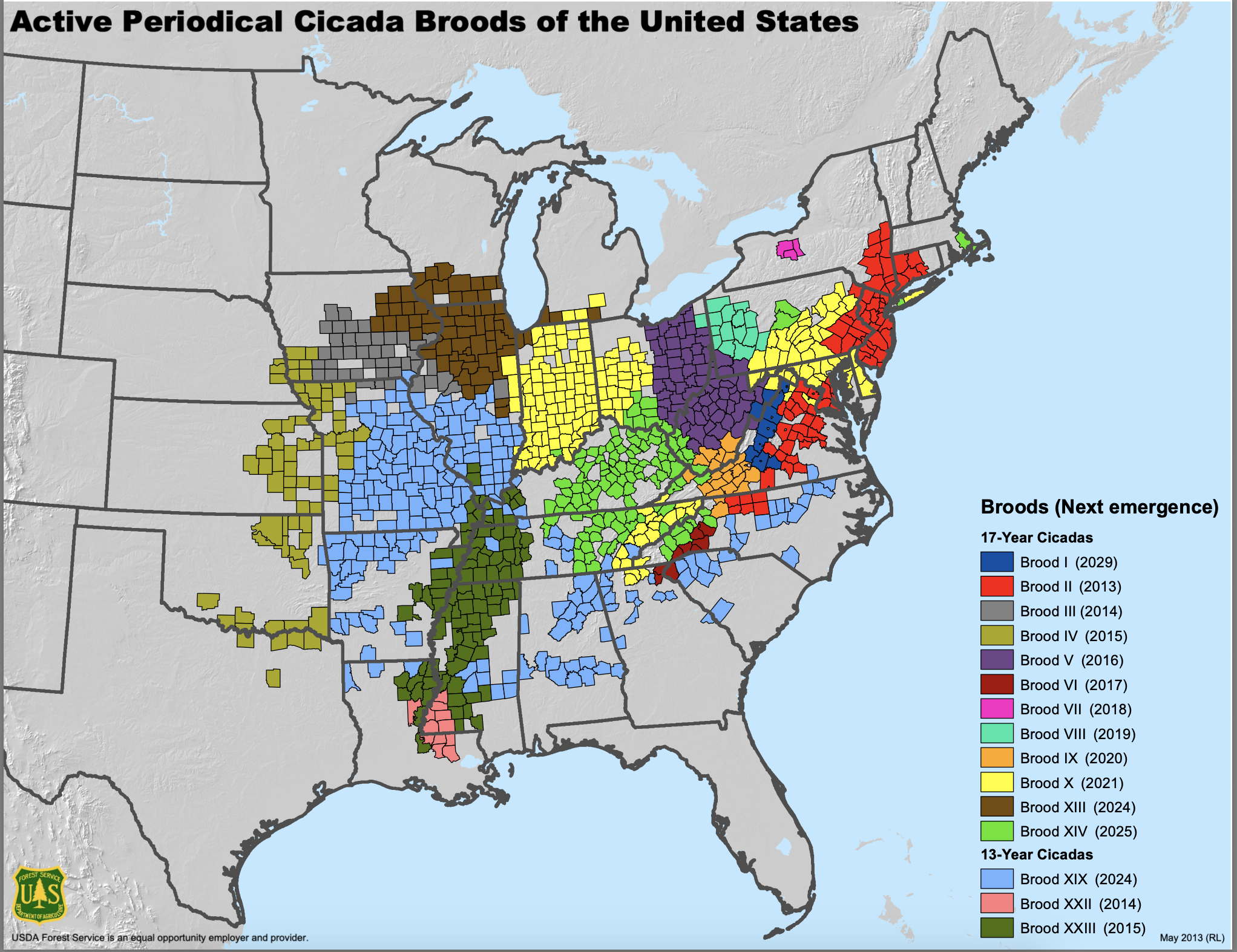 Active broods expected to emerge across the US. Credit: United States Forest Service 