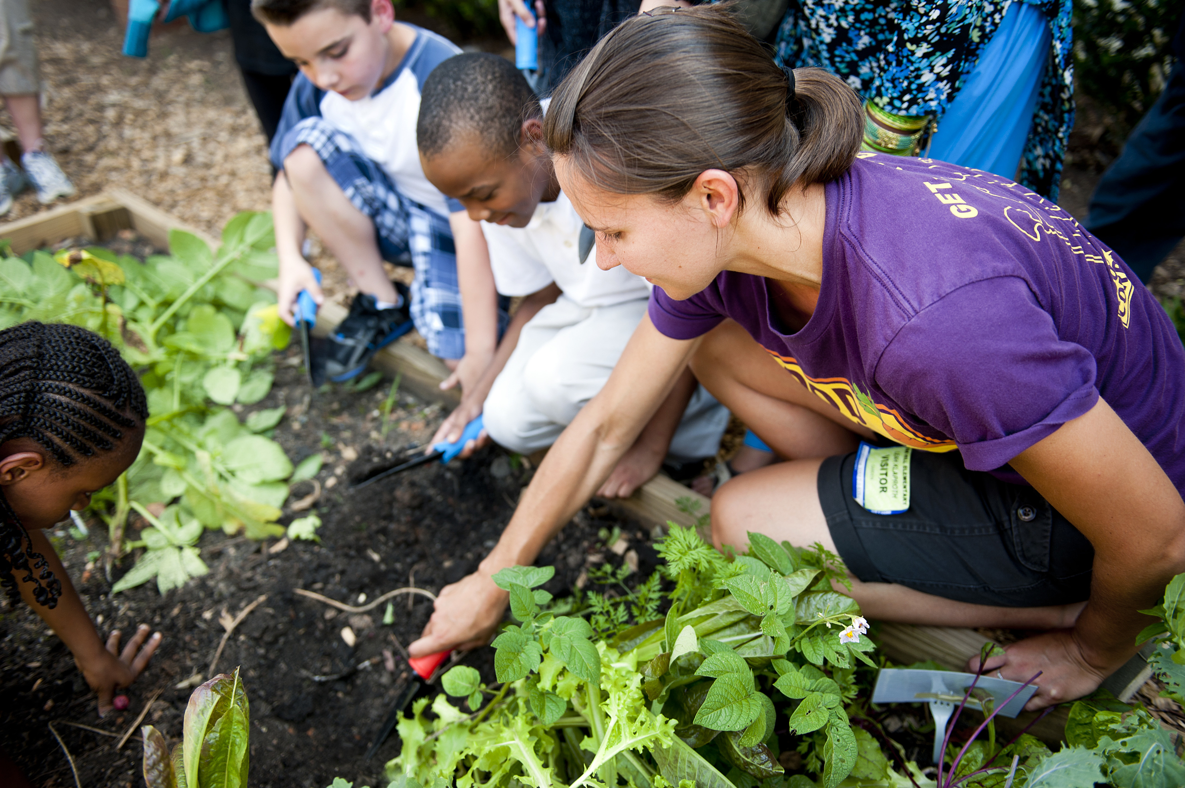 Volunteer with youth gardening program. 