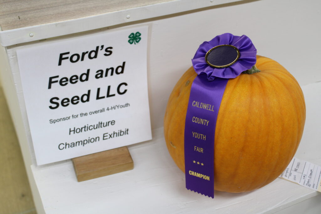 pumpkin - champion youth horticulture exhibit at 2019 fair