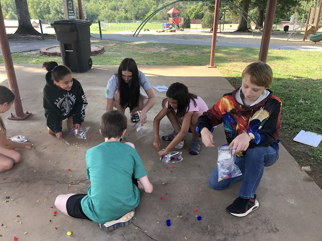 Youth demonstrate adaptations and the role they play in animal survival through a fun simulation. Each participant acted as a bird and used utensils to mimic a beak. The objective was to collect “food,” like pom poms, dry pasta and beans, and record their results. 