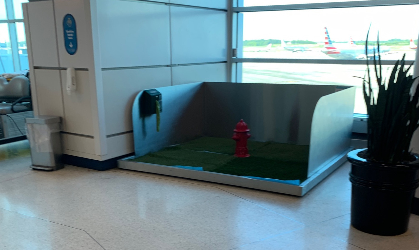 This "Pet Relief Area" at the Charlotte Douglas Airport is one approach to eliminating dead spots in turf. (Credit: Bruce Roberts) 