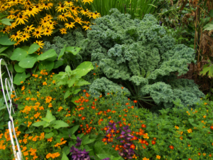 Cover photo for Add Edibles to Your Landscape