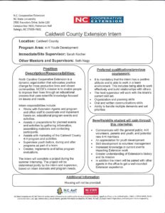 Intern requirements