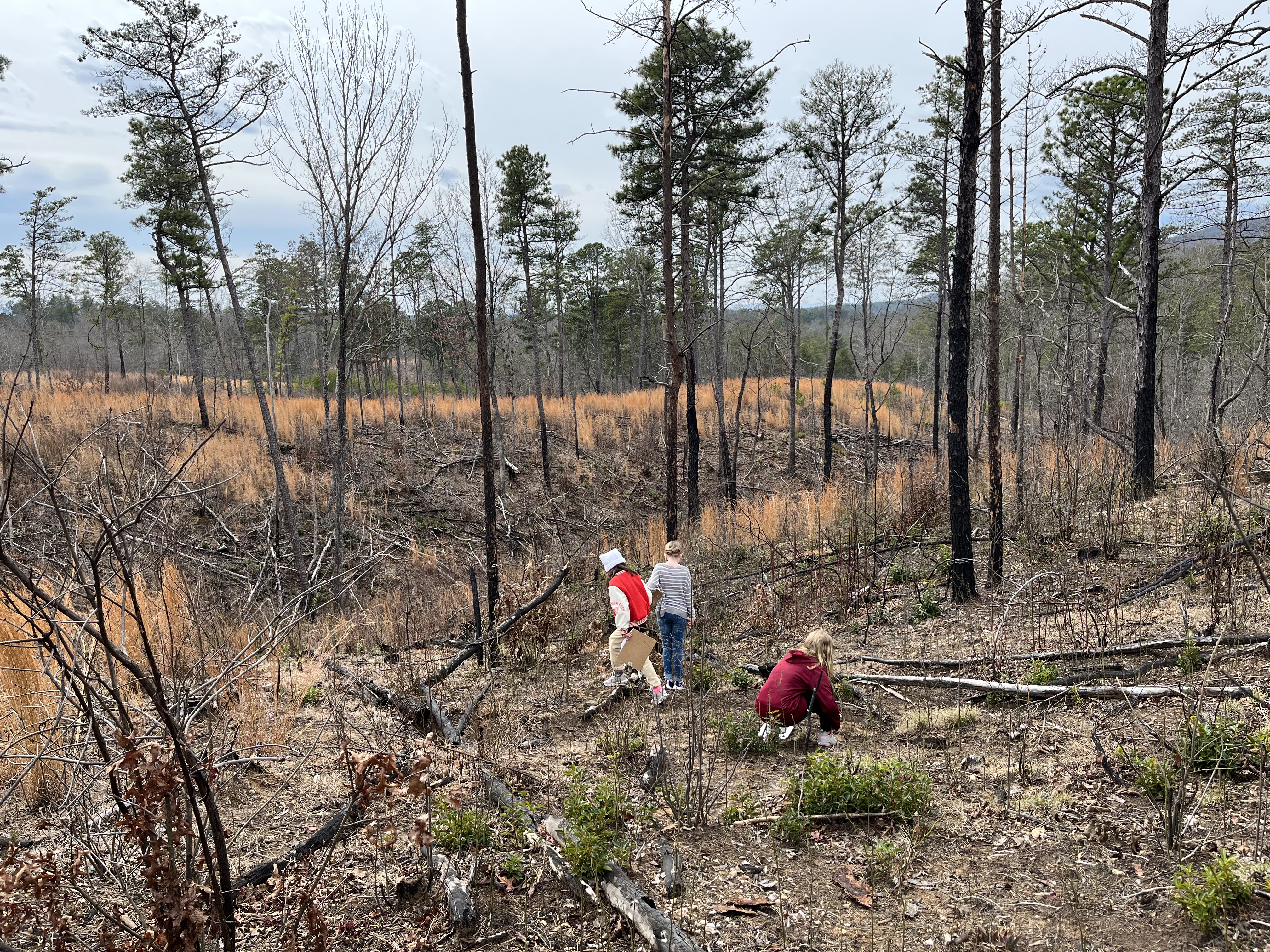 WHEP participants examine recently burned game land in Caldwell County.