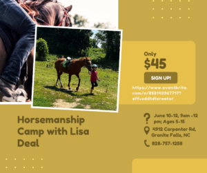 Horsemanship camp