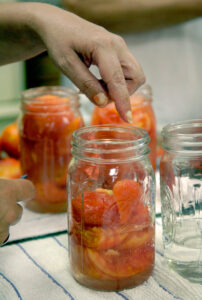 hand putting tomatoes in jar