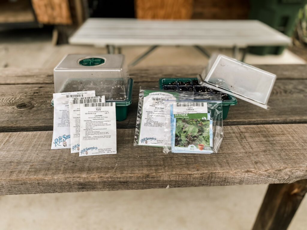 seed trays with seeds