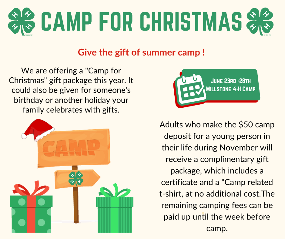 Camp For Chirstmas