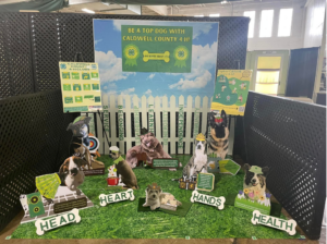 Cut out posters of dogs dressed as 4-H clubs.