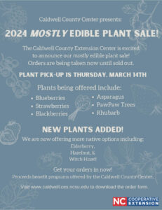 flyer for plant sale