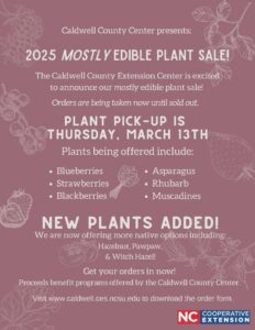 Mauve flyer with details about the plant sale