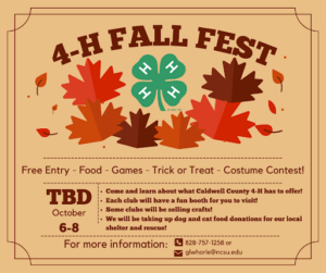 4-H Fall Fest flyer with background of leaves and 4-H logo