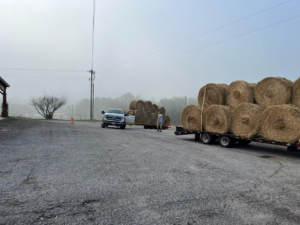 trailers with hay bales to be donated