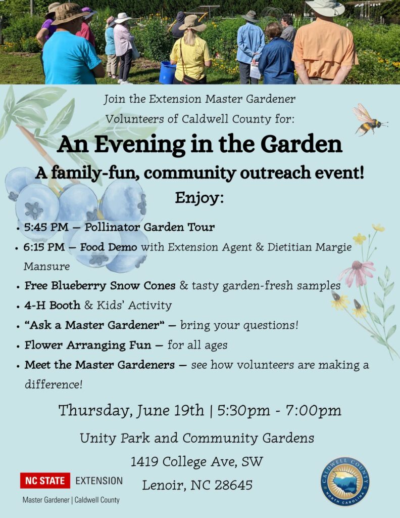 flyer about the garden party