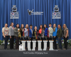 Cover photo for NC 4-H'ers Shine at APHA and AQHYA Contests