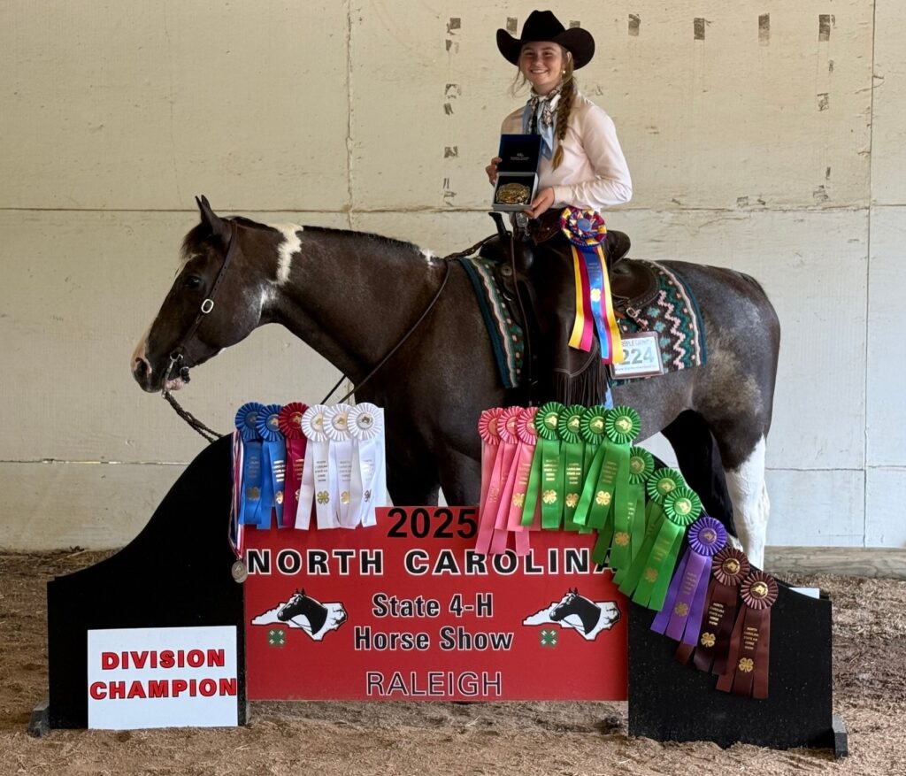 Girl on a horse surrounded by the ribbons she won